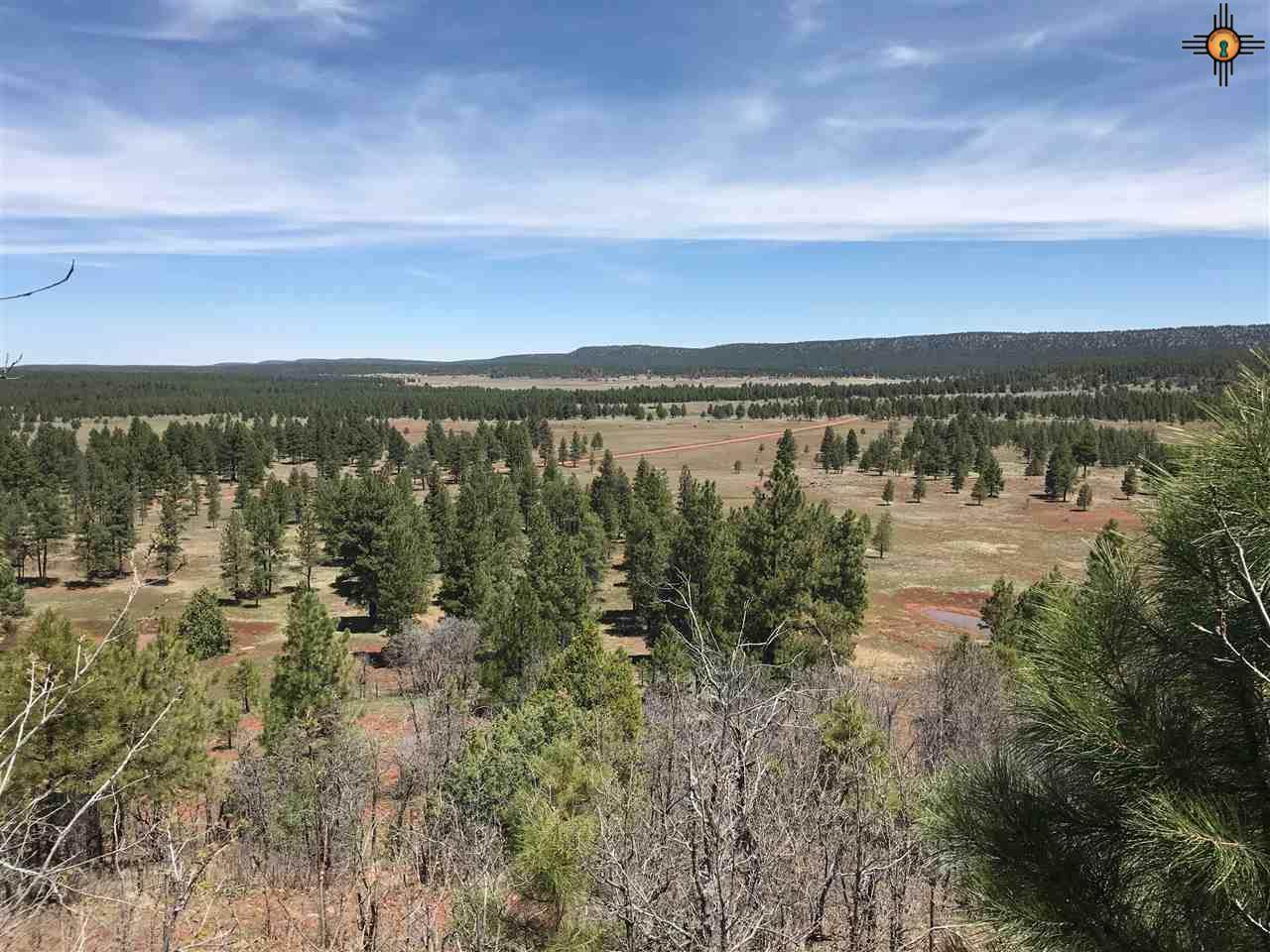 Bear Springs Road - Photo 1