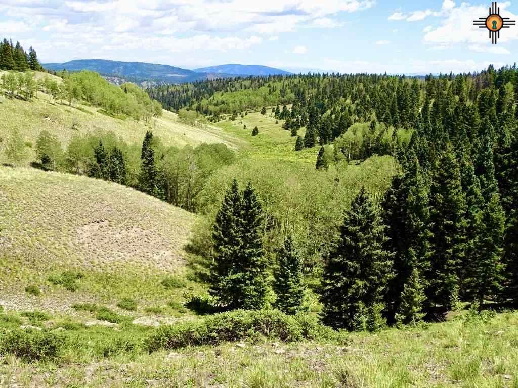 TBD Forest Service Road 87 - Photo 1