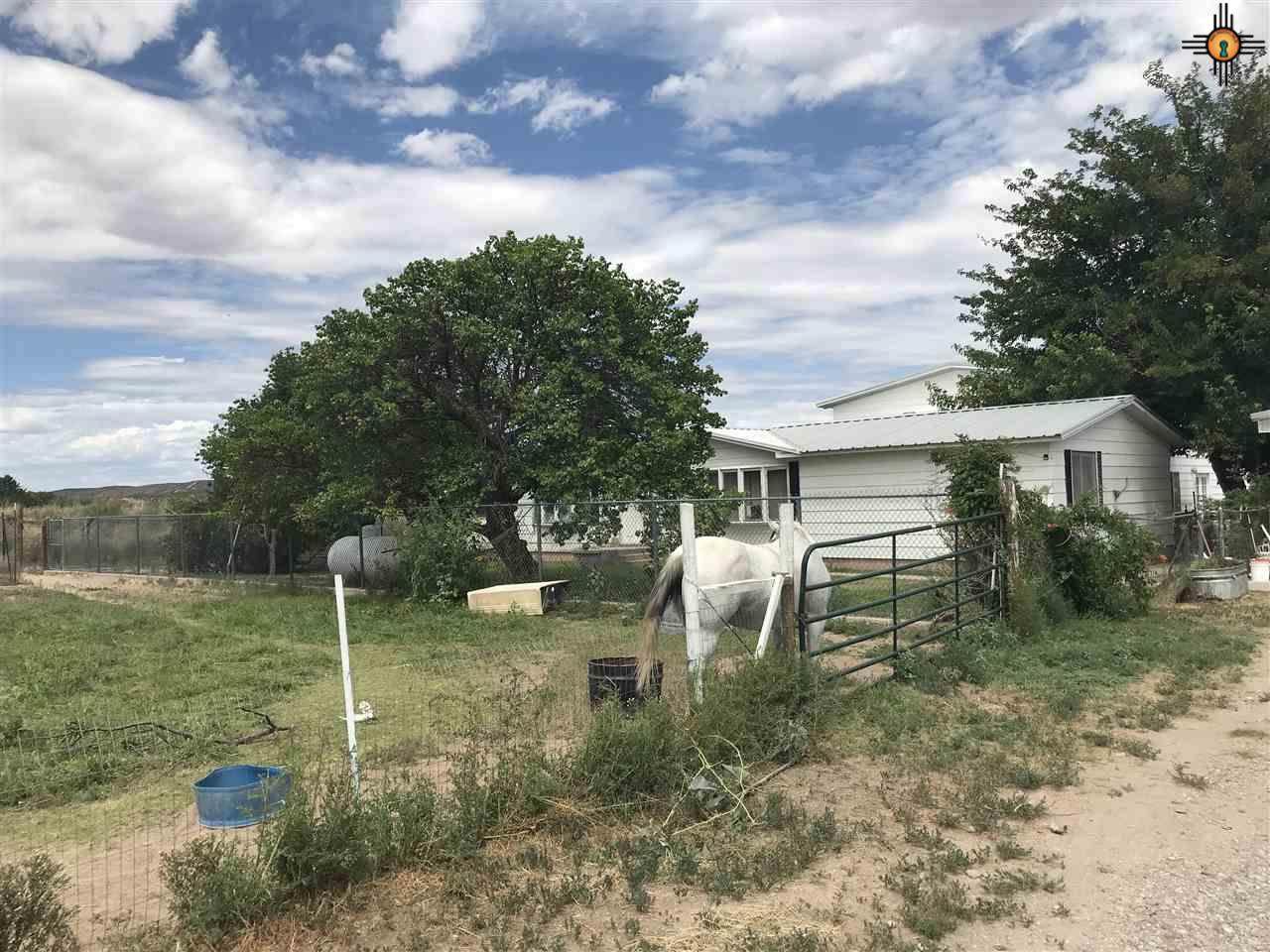 393 Las Palomas Canyon Rd - Photo 1