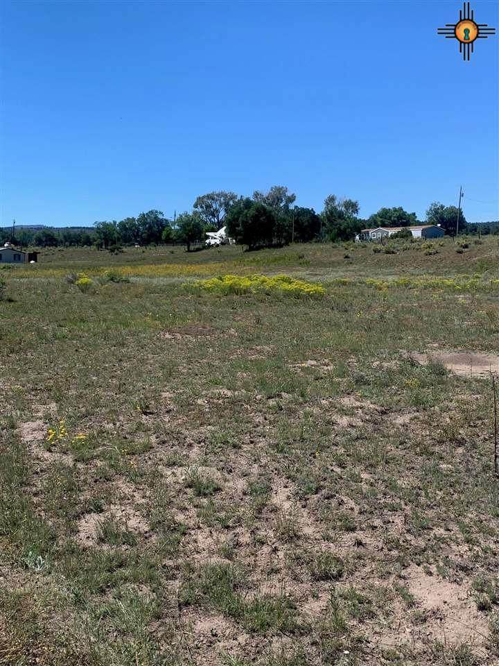58 Luna Valley Drive - Photo 1