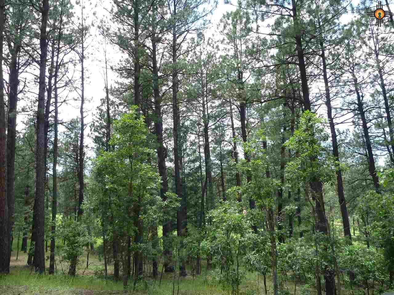 64 Forest Dr East - Photo 1