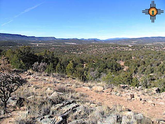 19.21.&25 Rocky Bluffs - Photo 1
