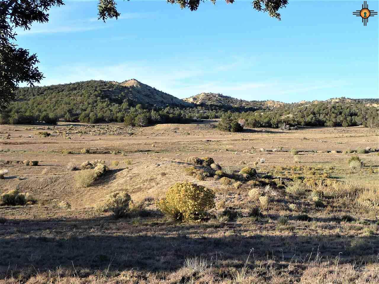 000 Williamson Rd. - Photo 1