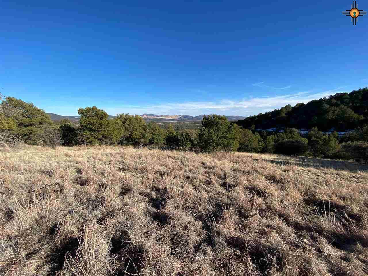 XX Xyz Ranch Road - Photo 1