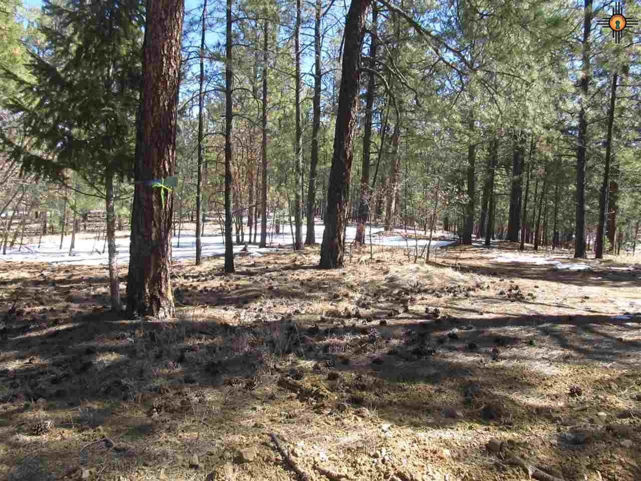 29-30 18th Fairway - Photo 1