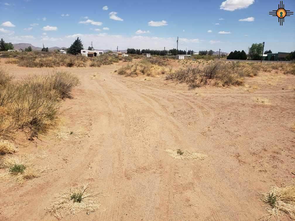 115 Apache Hills Drive - Photo 1