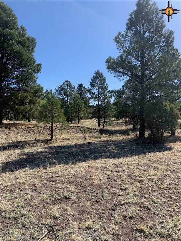9 Ridge Trail - Photo 1