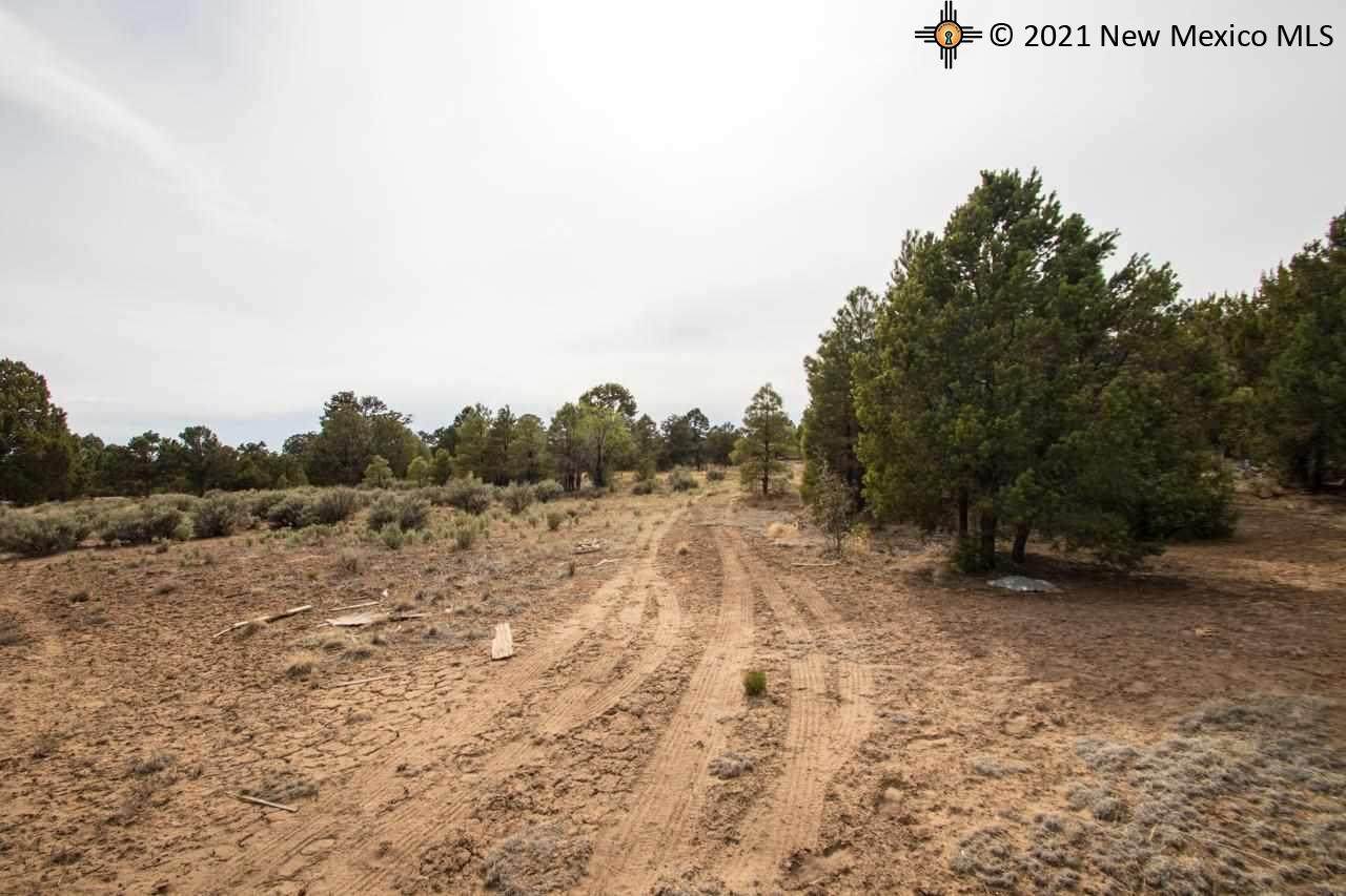 Lot 18 Pinehaven - Photo 1