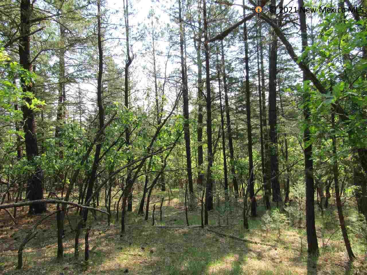 78 Camino Anita - Photo 1
