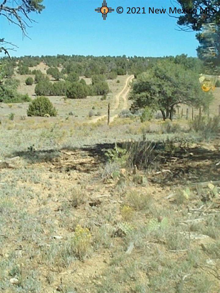 4793 Ice Caves Road - Photo 1