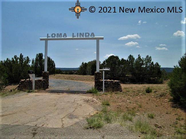 506 Hwy 3 Ribera - Photo 1