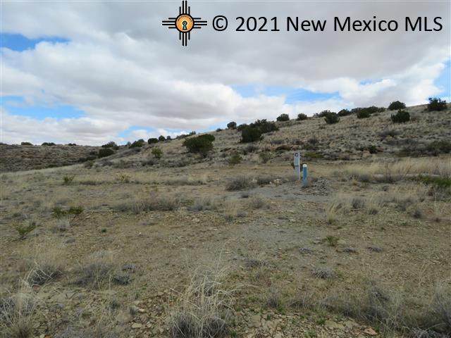 Lot 1 Champagne Hills Rd Rdl - Photo 1