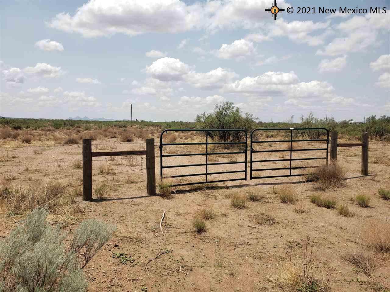 000 Wagon Wheel Rd - Photo 1