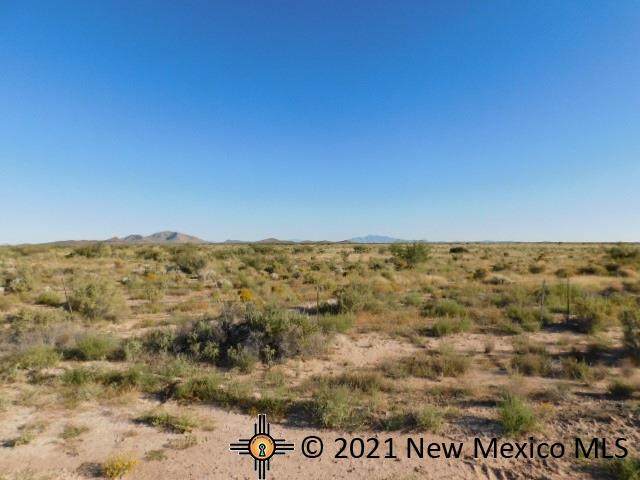 Hondale Rd Sw - Photo 1
