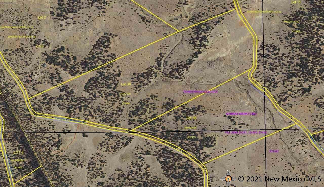 LOT 3 Ponderosa Ranches - Photo 1