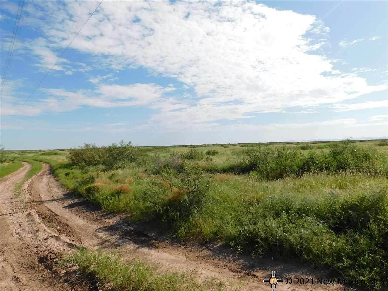 Dustdevil Rd - Photo 1