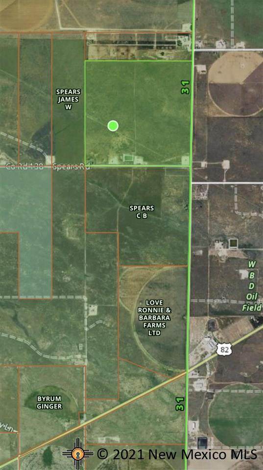 406 Acres Spears Rd And State Line - Photo 1