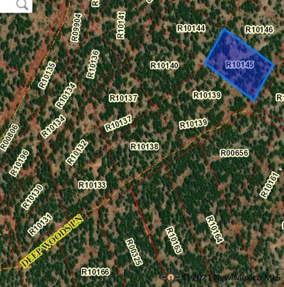 Lot 24 D Mcgaffey Pines - Photo 1