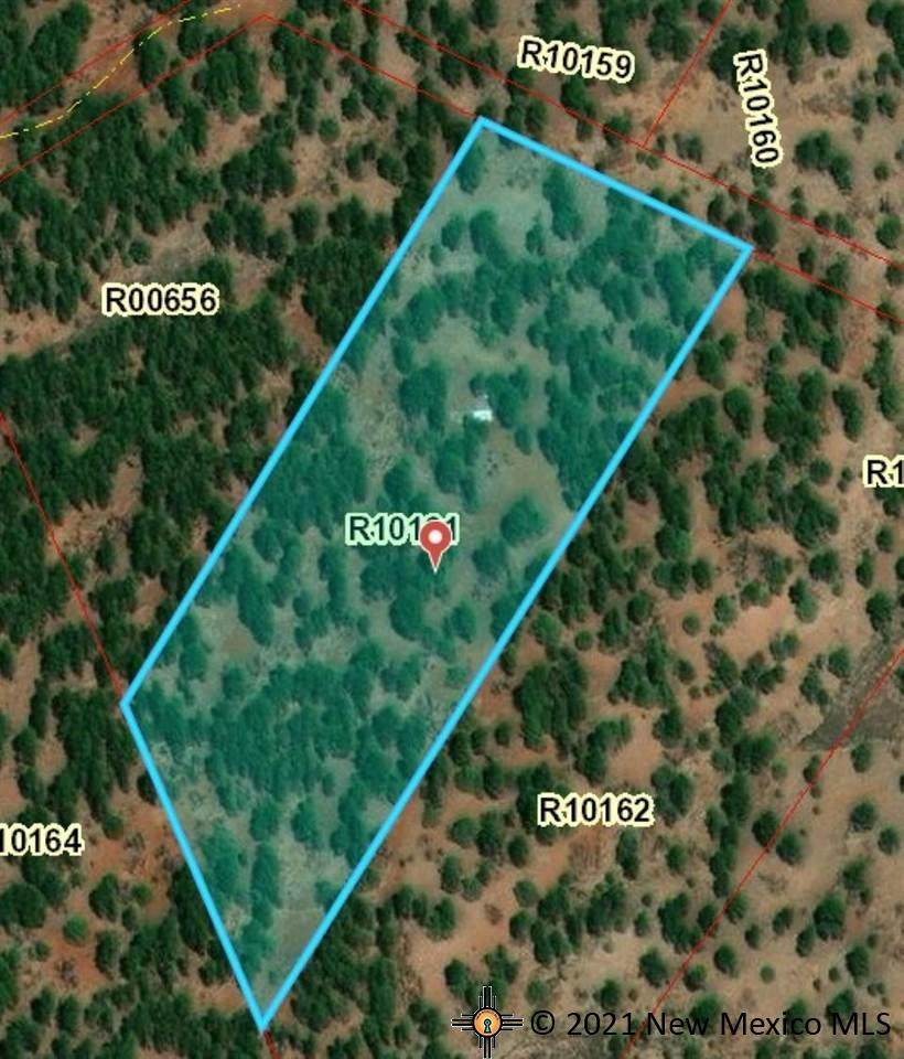 Lot 33B Mcgaffey Pines - Photo 1