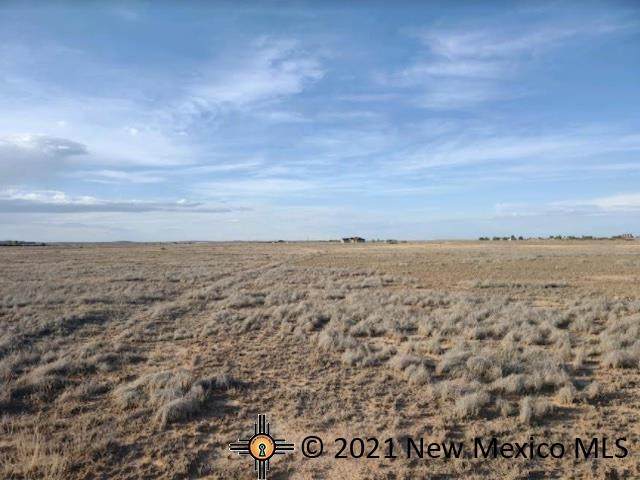 0 Tierra Grande - Photo 1