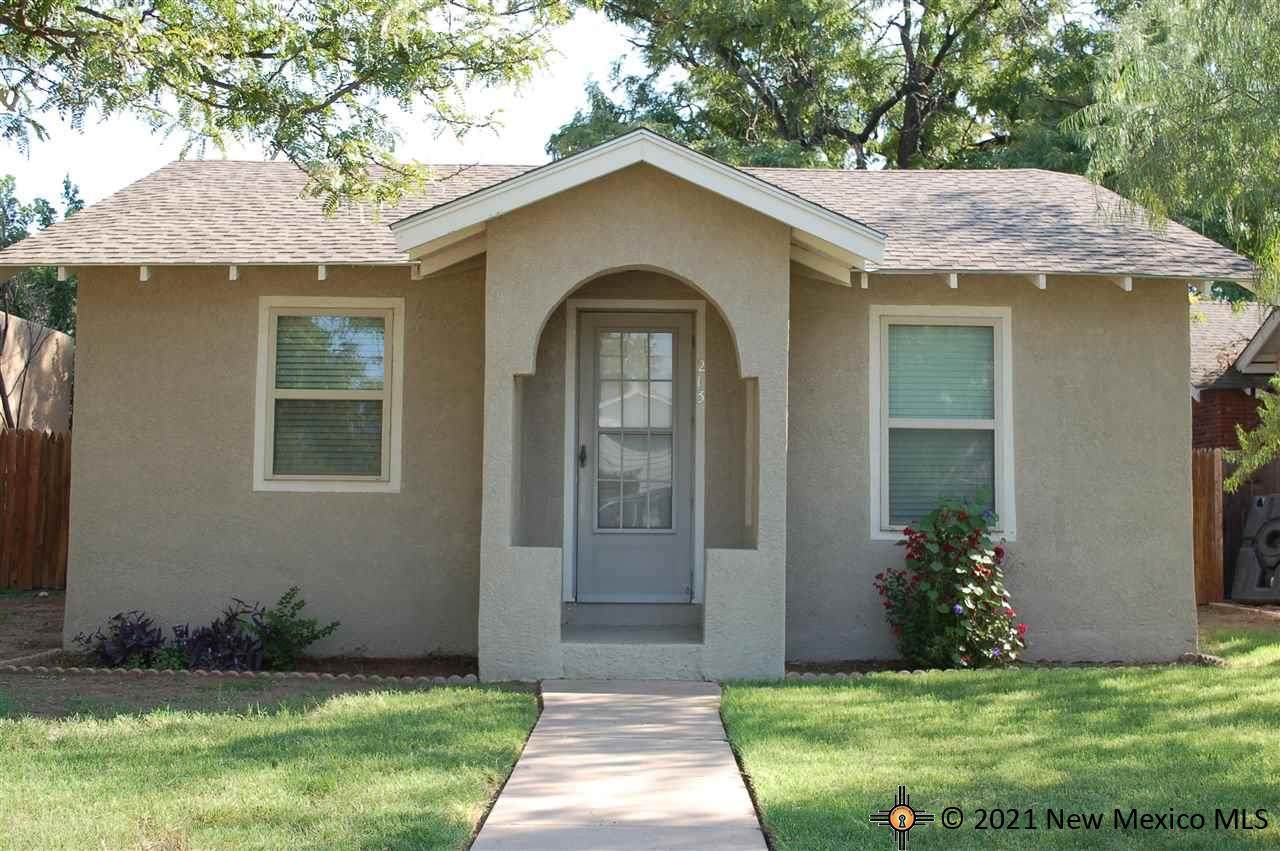 213 Ave E - Photo 1