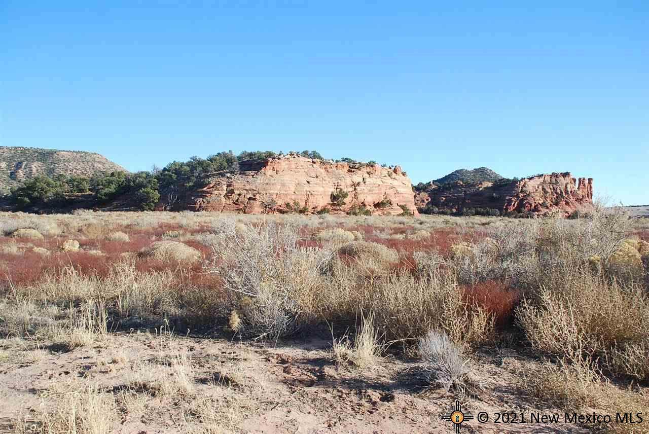 6 Chimney Rock Ranch - Photo 1