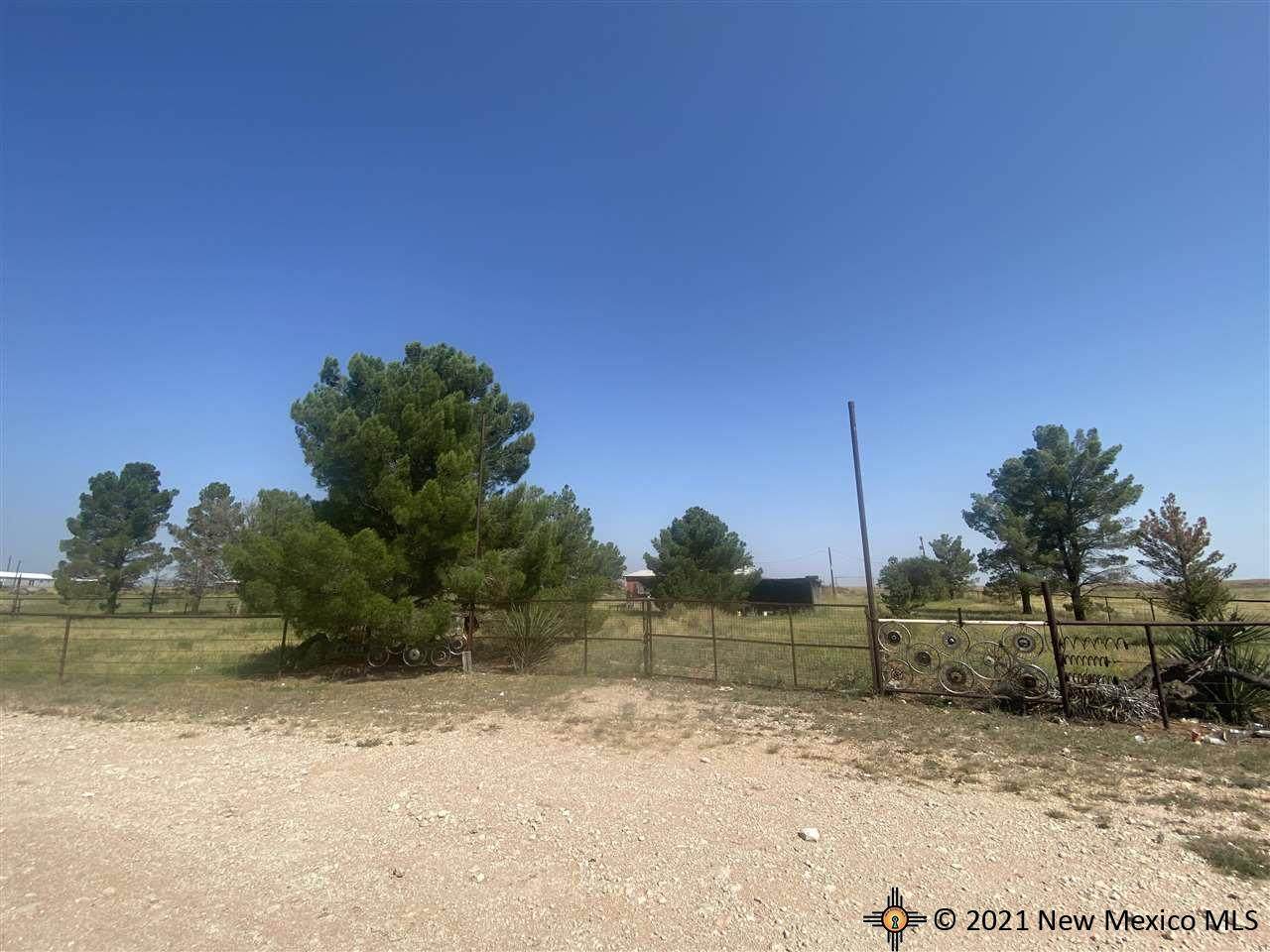 4100 Sage Brush - Photo 1