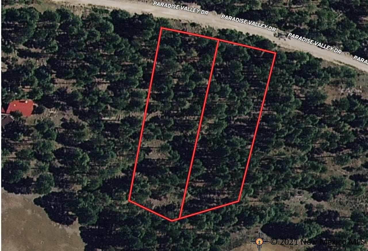 Lot 121 Paradise Valley - Photo 1