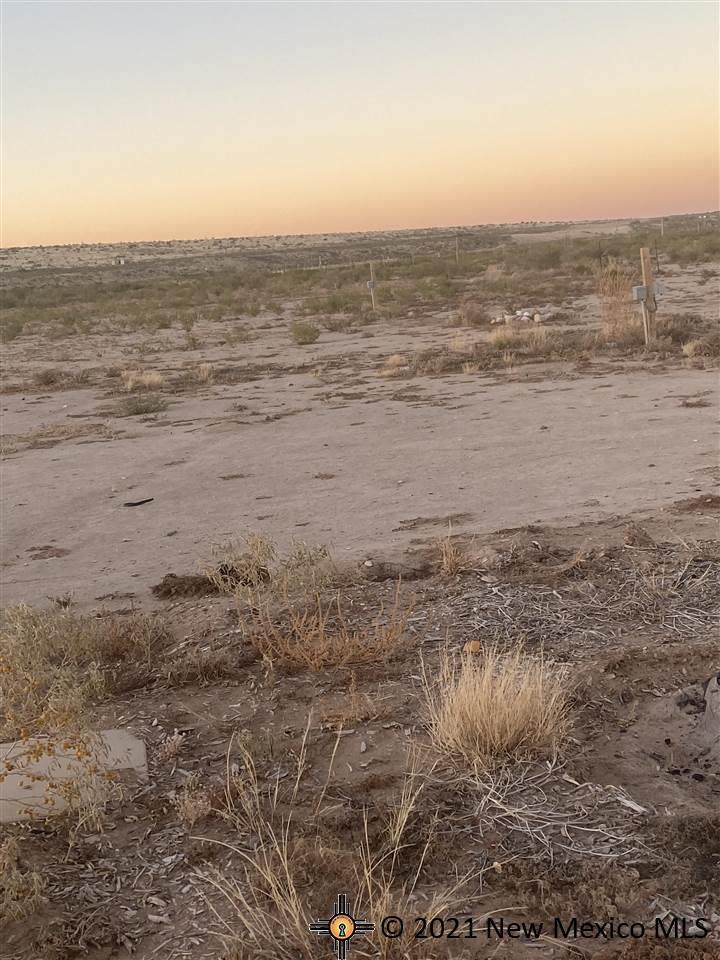 3619 Harvest - Photo 1