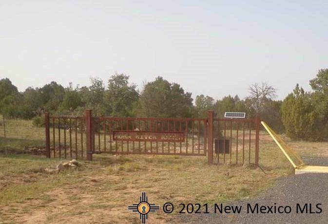 off County Road C53d - Photo 1