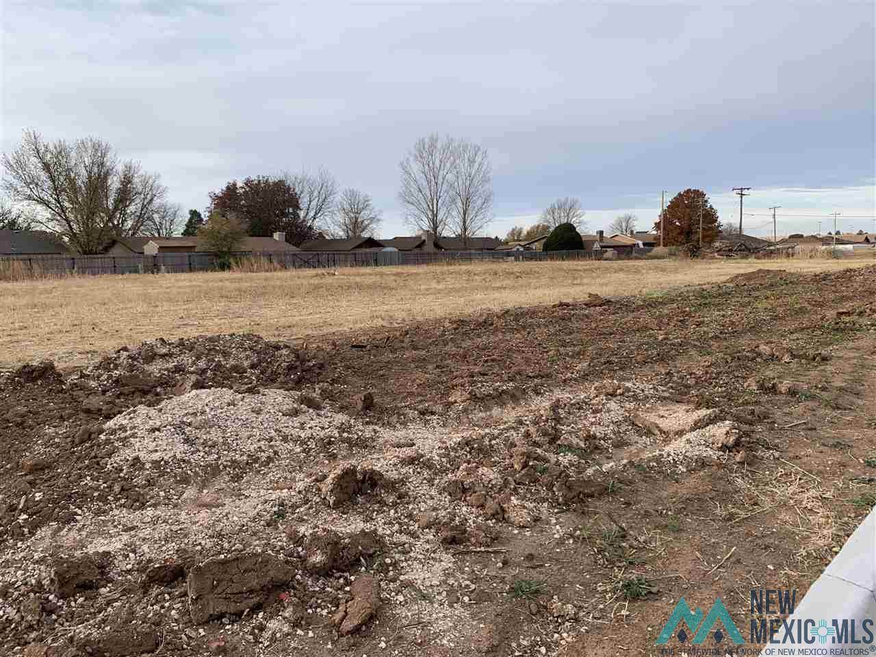 1508 Arbor - Photo 1