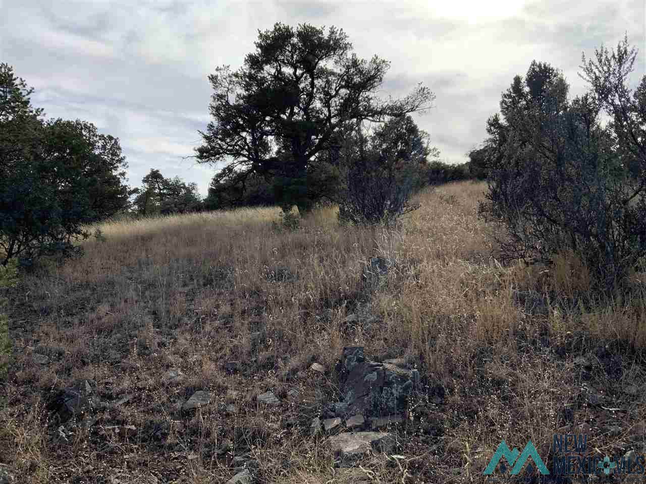 Tract 9 Nizohni - Photo 1