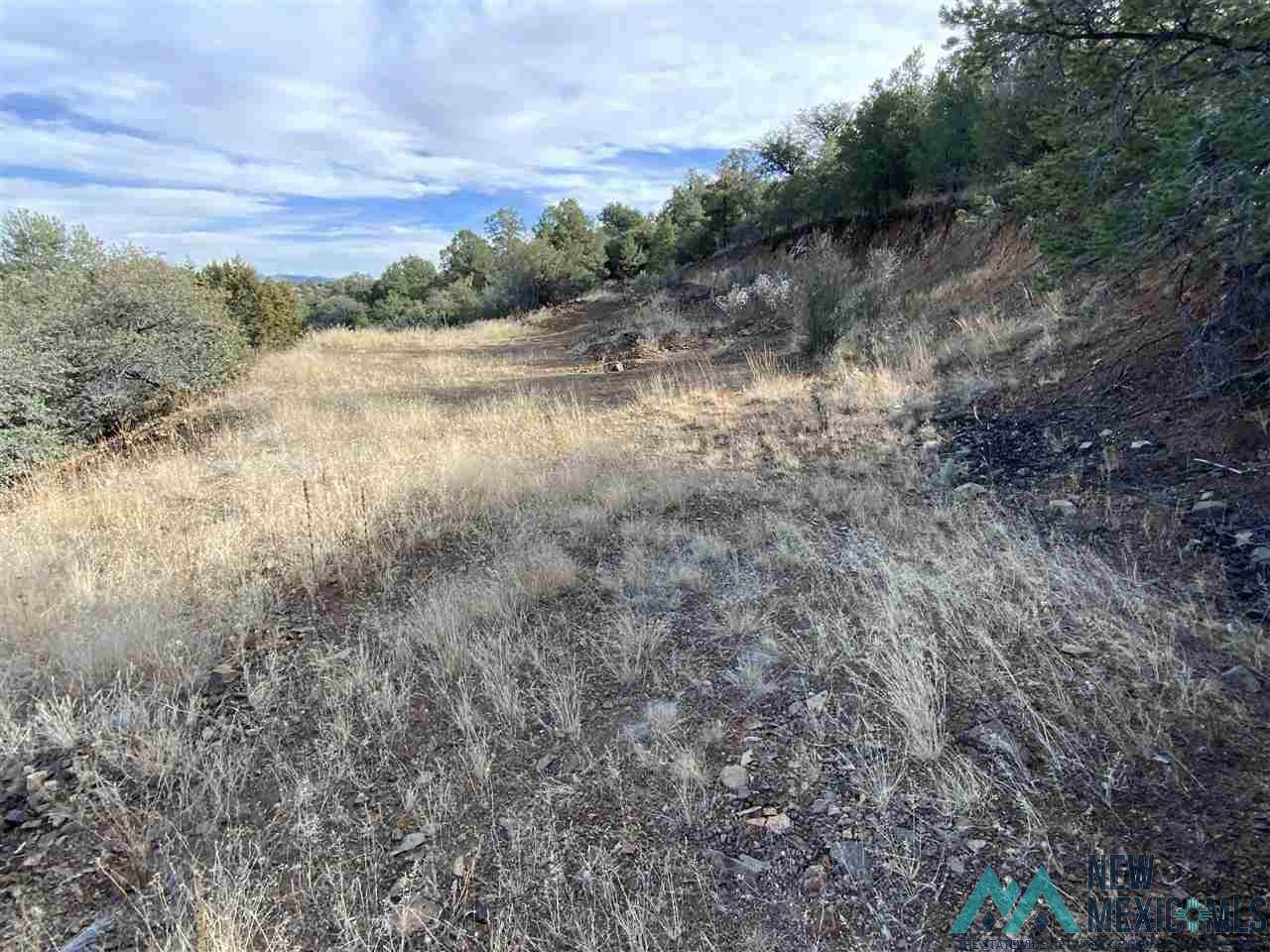 Tract 7 Nizohno - Photo 1