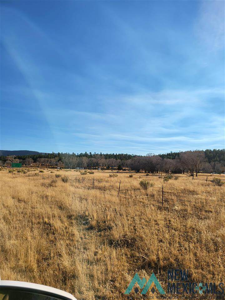 0456 Hwy 180 - Photo 1