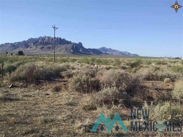 000 Rockhound Rd - Photo 1