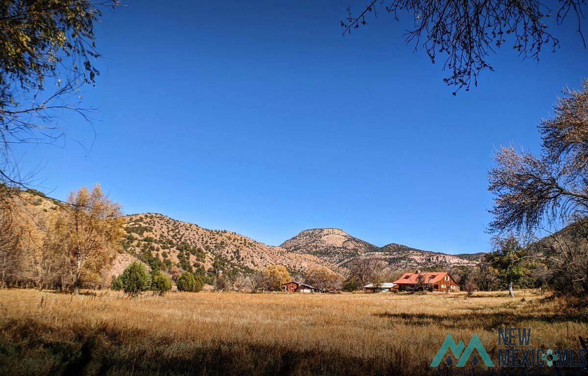 435 Mineral Creek - Photo 1