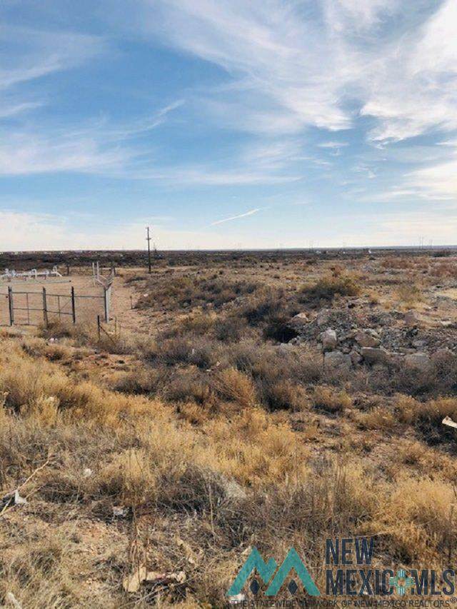 1812 Coyote - Photo 1