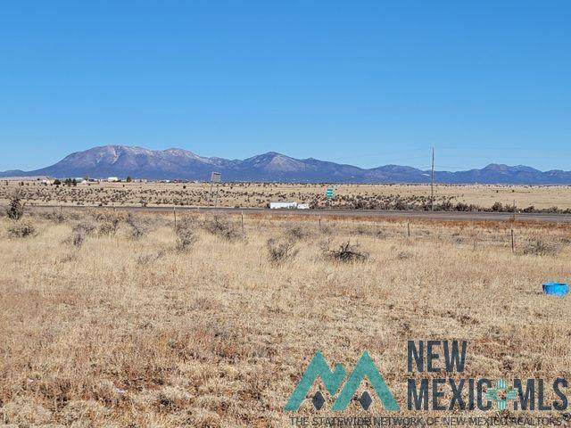 2346 Us Route 66 - Photo 1