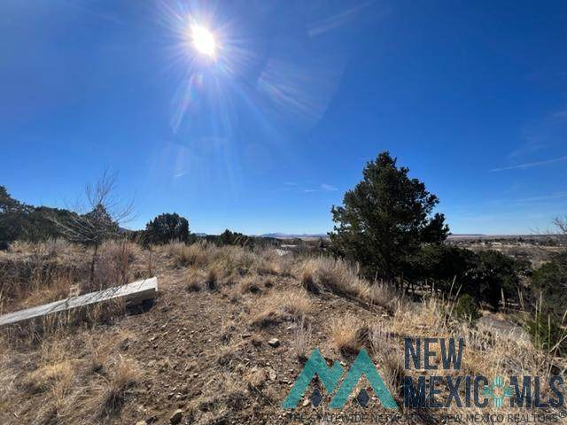 148 Los Arboles - Photo 1