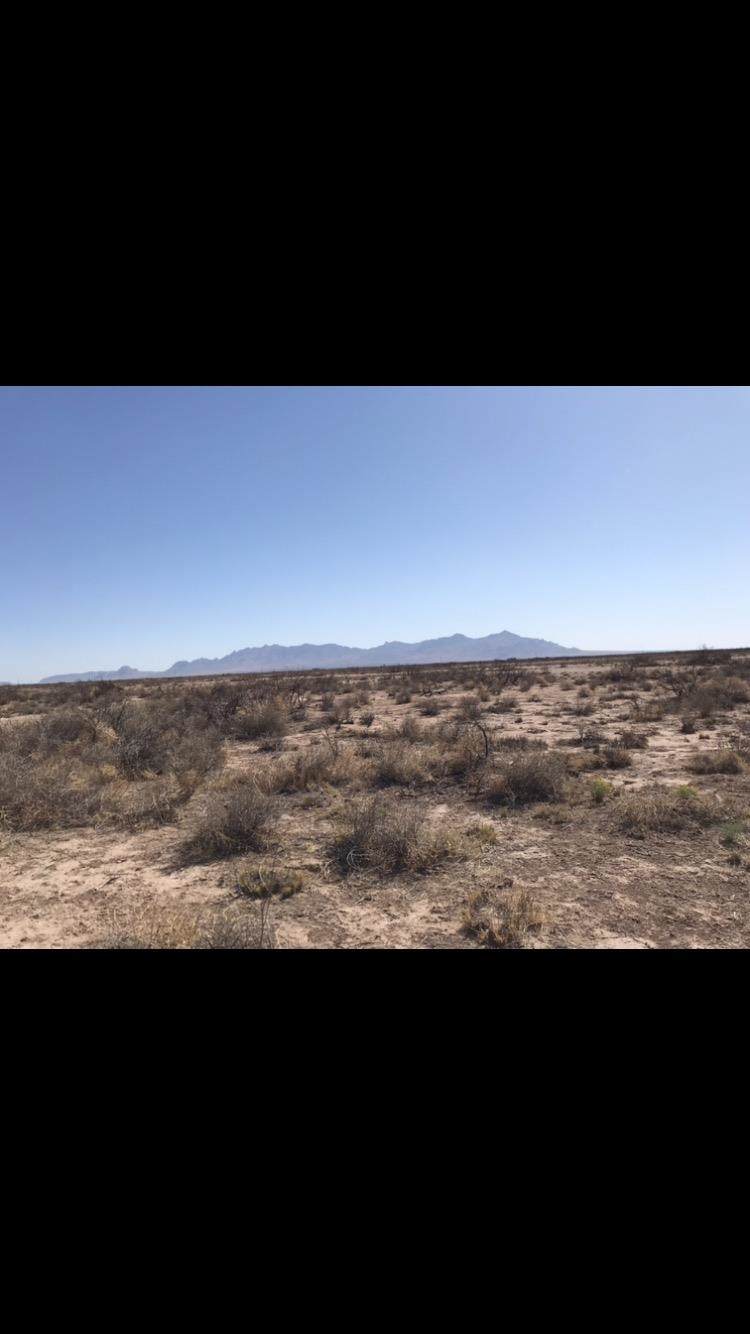 00 New Frontier Rd Sw - Photo 1