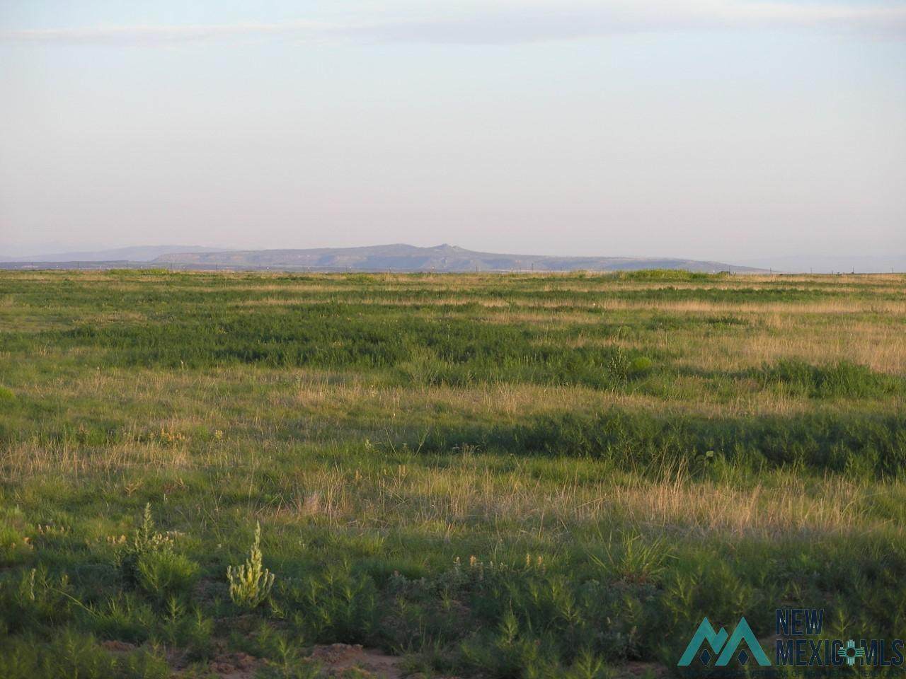 80+/-ac tract 2 38 Miles North Of Roy Nm - Photo 1