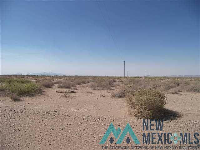 0044 Desert Willow - Photo 1