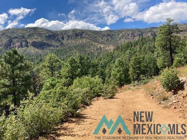 1045 Ctc Ranch Canyon - Photo 1