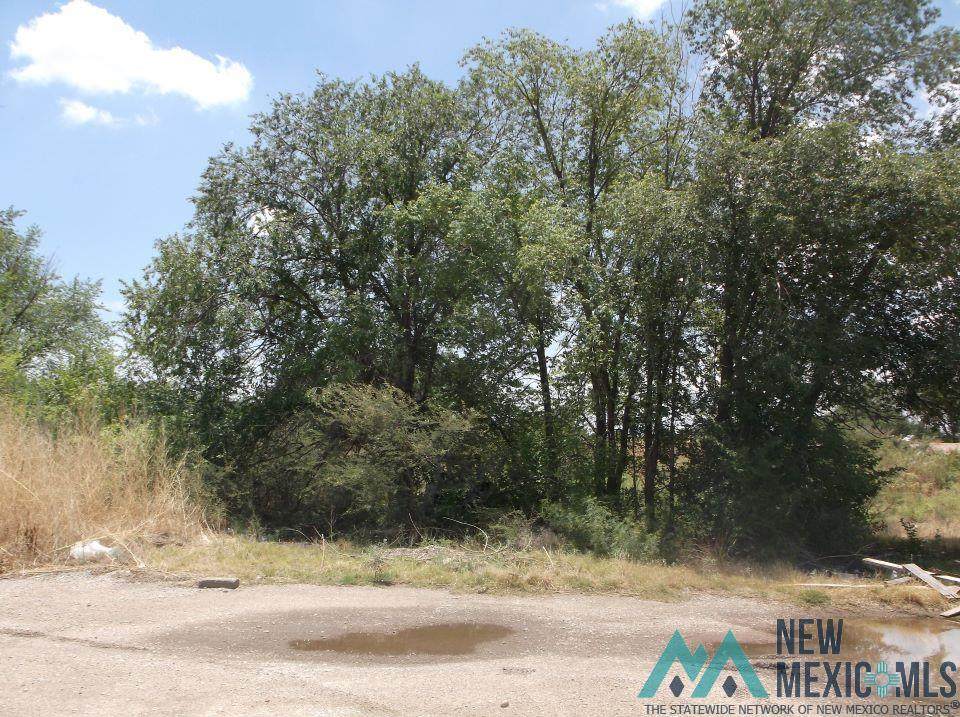 1501 Luckey, Lot 5 - Photo 1