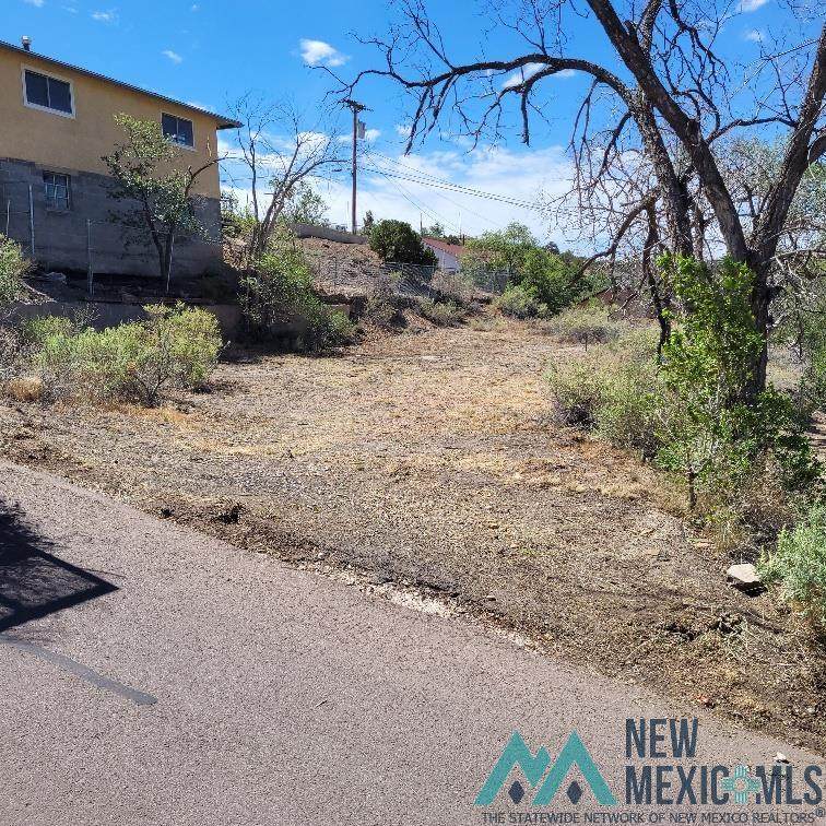 1004 Mesa - Photo 1