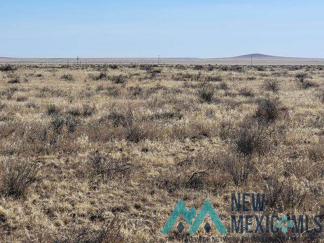 202 Calle Del Sol - Photo 1