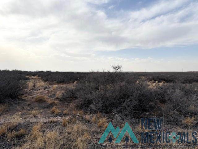S&E of 499 George Shoup Relief Route - Photo 1