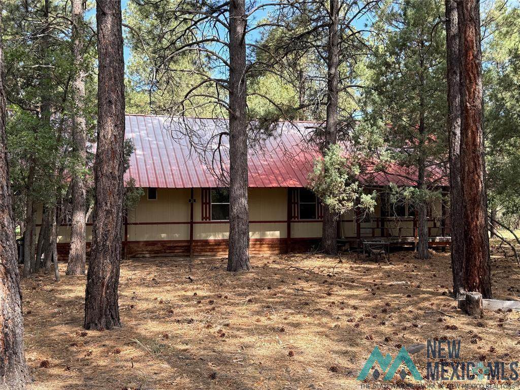 31 Mundy Lane Drive - Photo 1