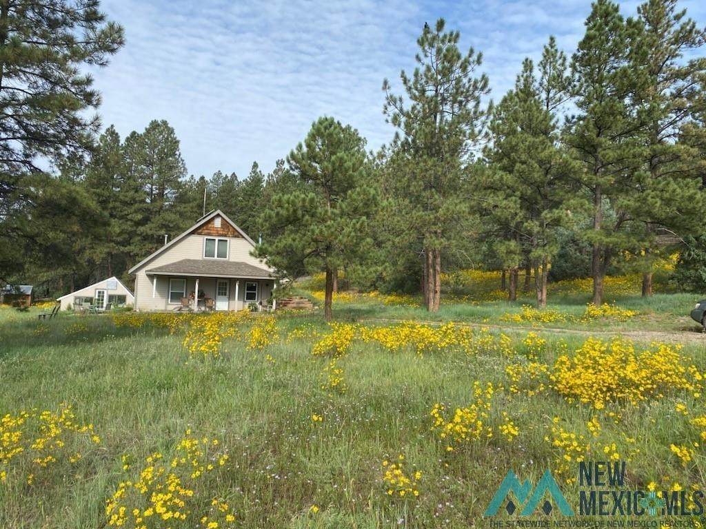 150 Forrest Service Road 124 - Photo 1