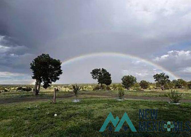 https://bt-photos.global.ssl.fastly.net/newmexico/orig_boomver_1_20261502-2.jpg